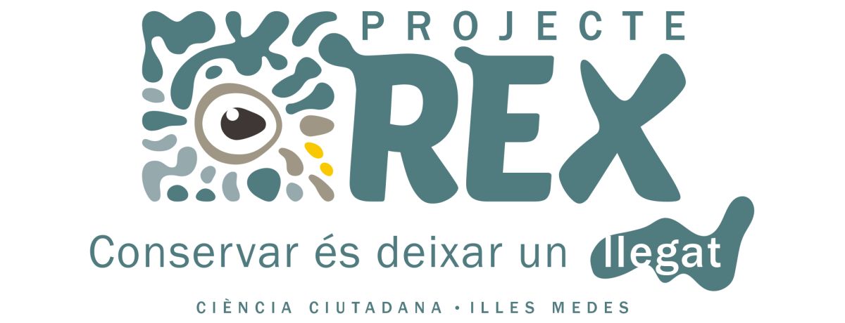 Projecte Rex