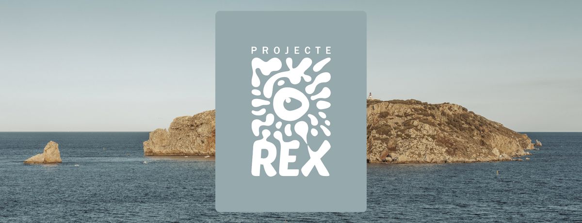 Projecte Rex